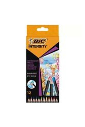 Bic Kids Evolution 12'li Kuru Boya Seti