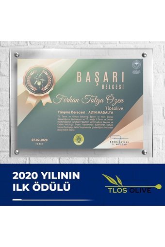 Zeytin Hanım Natürel Sızma Organik Zeytinyağlı Bebek Masaj Yağı 250 ml