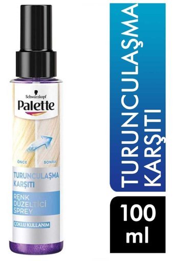 Palette Turunculaşma Karşıtı Saç Dökülmesine Karşı Boyalı Düz Saçlar İçin Saç Kremi 100 ml