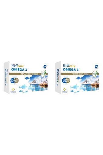 Wellcare Omega 3 Balık Yağı Kapsül 1200 mg 60 Adet