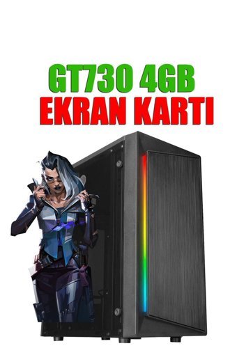 Dmc NX53 Harici GeForce GT 730 Intel Core i7 860 16 GB Ram 256 GB SSD Tower FreeDos Masaüstü Bilgisayar
