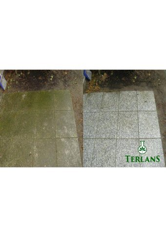 Terlans Industrial Cleaning Yüzey Temizleyici 20 kg