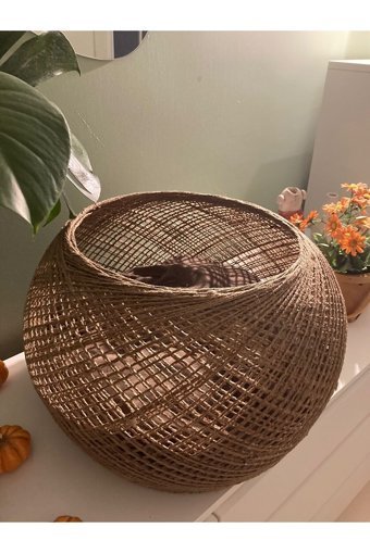 Letsgetpet Yuvarlak İç Mekan Kedi Evi Kahverengi
