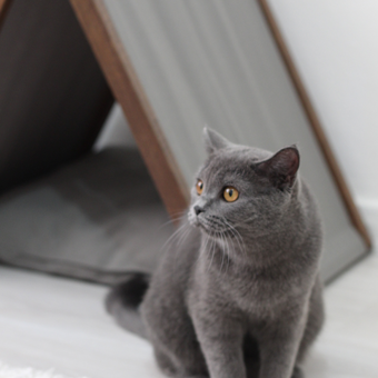 Ketu Üçgen İç Mekan Kedi Evi Gri