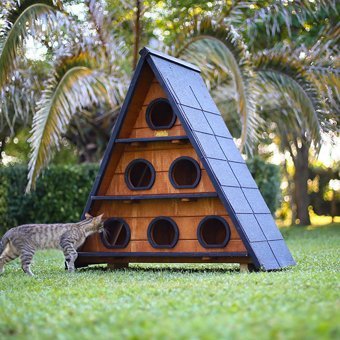 Mandu Üçgen Üçgen 3 Katlı Su Geçirmez Dış Mekan Kedi Evi Ahşap Rengi-Mavi