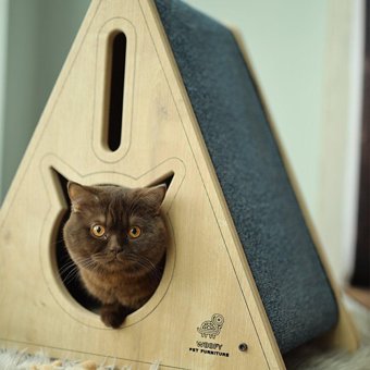Woofy Catsy 2A Üçgen Su Geçirmez İç Mekan Kedi Evi Ahşap Rengi