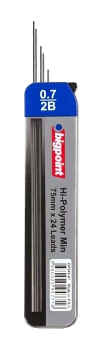 Bigpoint 2B 0.7 mm 24'lü Kalem Ucu 12 Adet