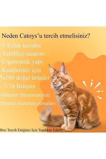 Catoys Oyun Evi Kare İç Mekan Kedi Evi Beyaz-Mavi