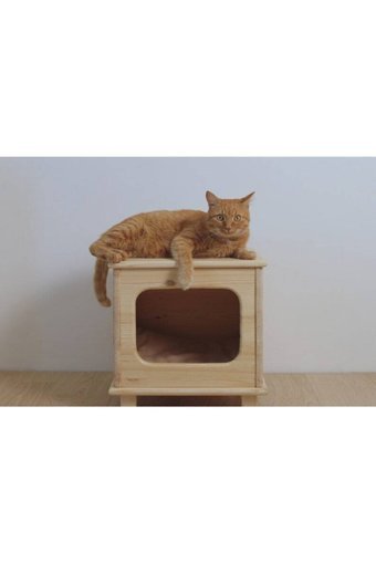 Naturbird Kare İç Mekan Kedi Evi Ahşap Rengi