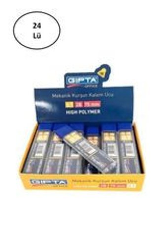 Gıpta 2B 0.7 mm 24'lü Kalem Ucu