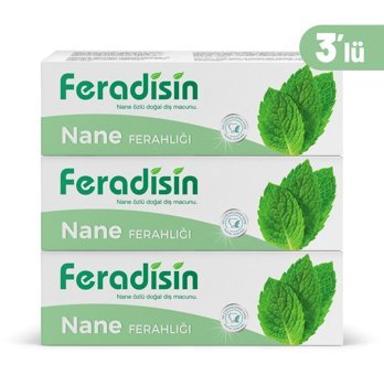 Feradisin Naneli Organik Florürsüz Diş Macunu 3x90 gr