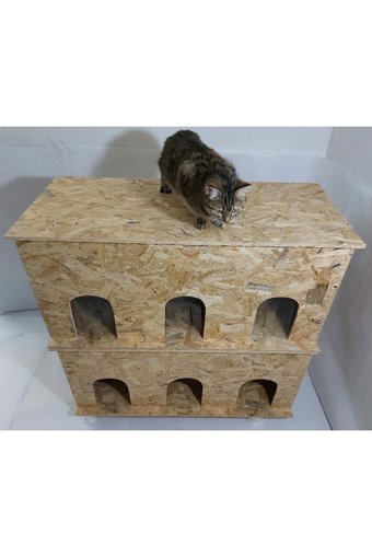 Kumsshop Çoklu Dikdörtgen 2 Katlı Su Geçirmez Dış Mekan-İç Mekan Kedi Evi Ahşap Rengi