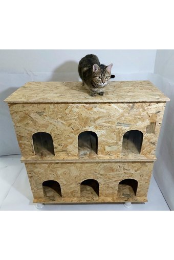 Kumsshop Çoklu Dikdörtgen 2 Katlı Su Geçirmez Dış Mekan-İç Mekan Kedi Evi Ahşap Rengi