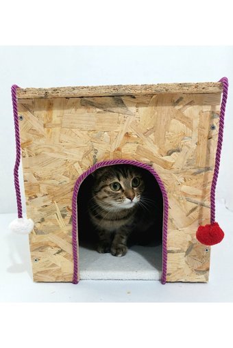 Kumsshop Kare Su Geçirmez Dış Mekan-İç Mekan Kedi Evi Ahşap Rengi