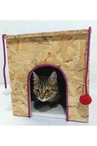 Kumsshop Kare Su Geçirmez Dış Mekan-İç Mekan Kedi Evi Ahşap Rengi