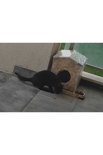 Zeki Möble Kare Su Geçirmez Dış Mekan Kedi Evi Ahşap Rengi + Mama Hazneli