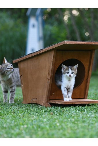 Mandu Yeni Doğan Dikdörtgen Su Geçirmez Dış Mekan Kedi Evi Ahşap Rengi