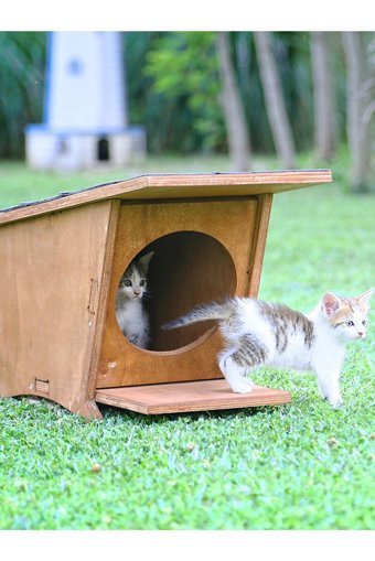 Mandu Yeni Doğan Dikdörtgen Su Geçirmez Dış Mekan Kedi Evi Ahşap Rengi