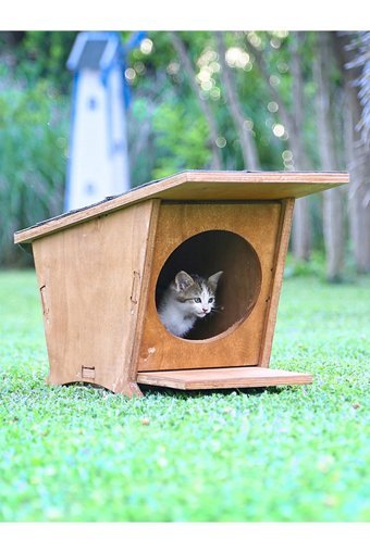 Mandu Yeni Doğan Dikdörtgen Su Geçirmez Dış Mekan Kedi Evi Ahşap Rengi