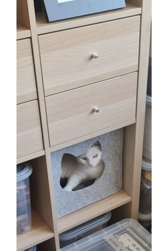 Petsonic Kare İç Mekan Kedi Evi Ahşap Rengi