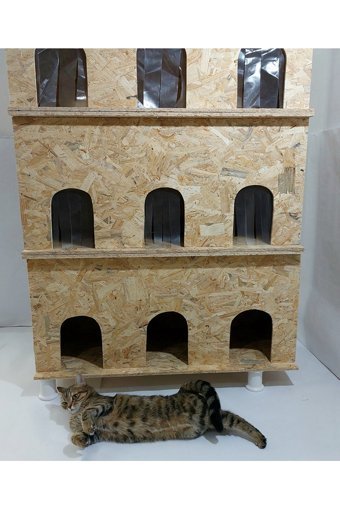 Kumsshop Dikdörtgen 3 Katlı Su Geçirmez Dış Mekan-İç Mekan Kedi Evi Ahşap Rengi