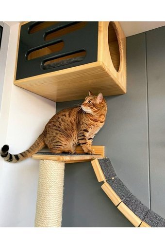 Arzu Wood AW82684 Kare İç Mekan Kedi Evi Ahşap Rengi