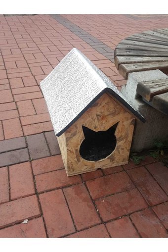 Narım Çatılı Dikdörtgen Su Geçirmez Dış Mekan Kedi Evi Ahşap Rengi