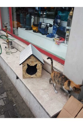 Narım Çatılı Dikdörtgen Su Geçirmez Dış Mekan Kedi Evi Ahşap Rengi