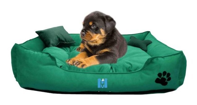 Mavi Vitrin Ultrasoft Yıkanabilir Küçük Irk İç Mekan Köpek Yatağı Yeşil