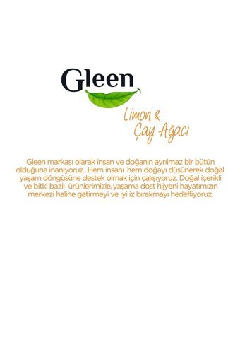 Gleen Çay Ağacı ve Limon Kokulu Yüzey Temizleyici 1 lt