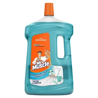 Mr. Muscle Okyanus Sessizliği Yüzey Temizleyici 2.5 lt