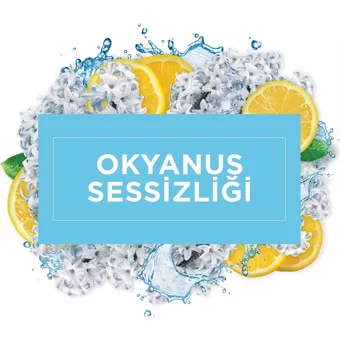 Mr. Muscle Okyanus Sessizliği Yüzey Temizleyici 2.5 lt