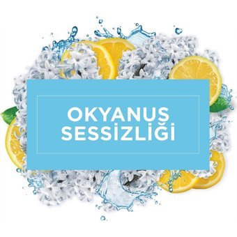 Mr. Muscle Okyanus Sessizliği Yüzey Temizleyici 1 lt
