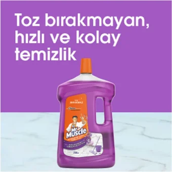 Mr. Muscle Lavanta Kokulu Yüzey Temizleyici 2.5 lt
