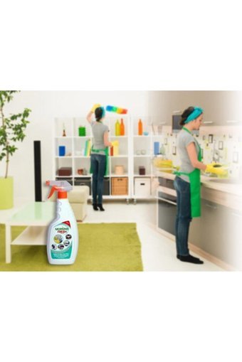 Proson Morning Fresh Alkol Bazlı Yüzey Temizleyici 750 ml