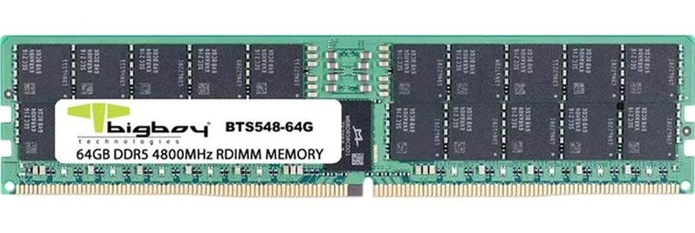 Bigboy BTS548-64G 64 GB DDR5 1x64 4800 MHz Ram
