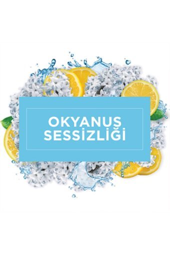 Mr. Muscle Okyanus Sessizliği Yüzey Temizleyici 2x2.5 lt