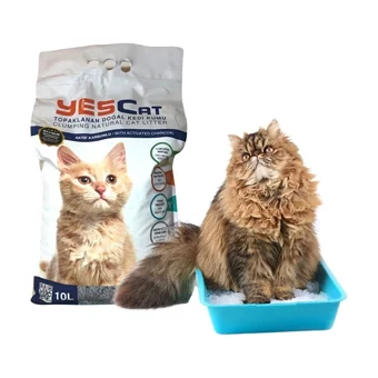 Yescat Topaklanan İnce Taneli Aktif Karbonlu Bentonit Kedi Kumu 30 lt