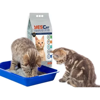 Yescat Topaklanan İnce Taneli Aktif Karbonlu Bentonit Kedi Kumu 20 lt