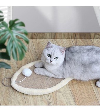 Nursoft Aktivite Tüylü Aktivite Yavru-Yetişkin Aktivite Kedi Oyuncağı