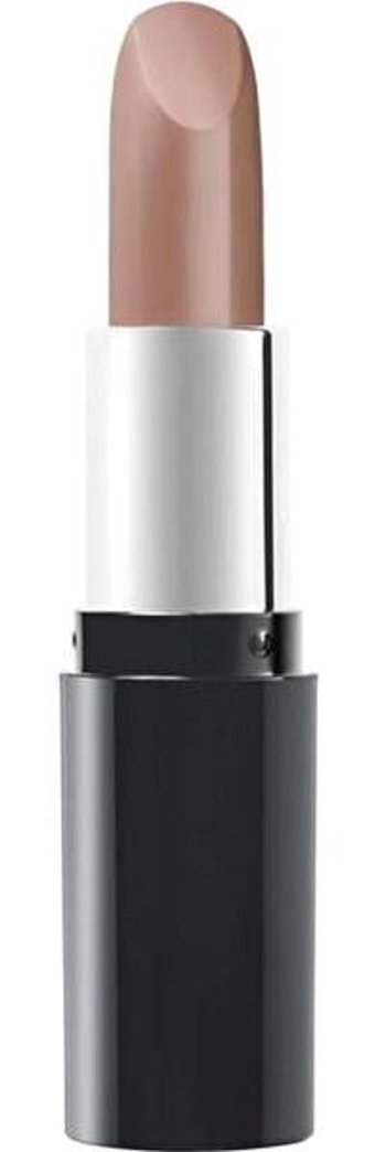 Pastel Nude 531 Chai Mat Krem Lipstick Ruj