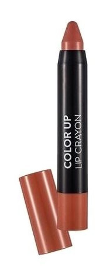 Flormar Color Up 2 Salmon Parlak Krem Kalem Ruj