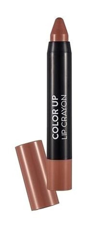 Flormar Color Up 3 Nude Parlak Krem Kalem Ruj