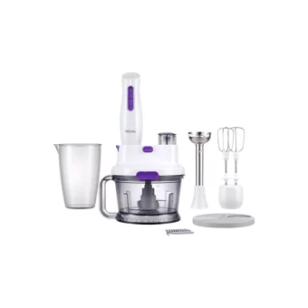 Regal Multi 1500 ml Plastik Hazneli Turbolu 4'lü Blender Seti Mor