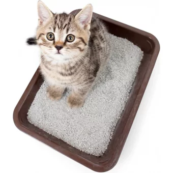 Proart Bebek Pudrası Kokulu Topaklanan İnce Taneli Bentonit Kedi Kumu 10 lt