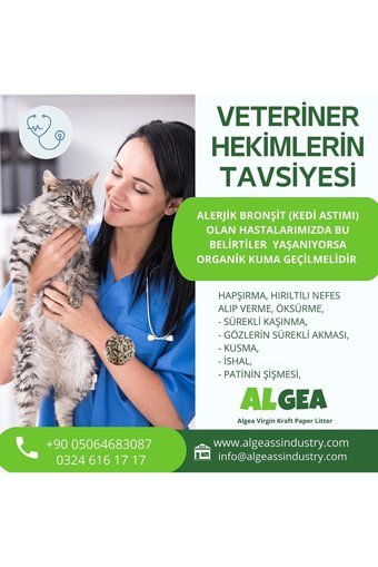 Algea Virgin Kraft Organik Topaklanan Kalın Taneli Bentonit Kedi Kumu 5 lt