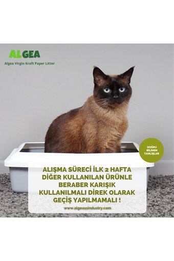 Algea Virgin Kraft Organik Topaklanan Kalın Taneli Bentonit Kedi Kumu 5 lt