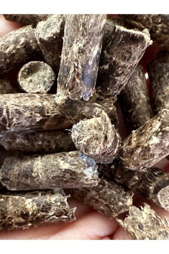 Algea Virgin Kraft Topaklanan İnce Taneli Bentonit Kedi Kumu 2x1 lt