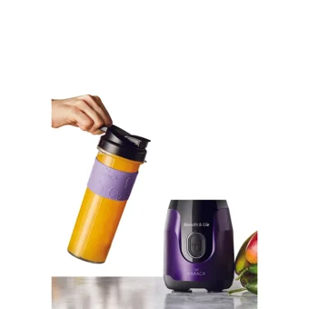 Karaca Blendfit Go 600 ml Plastik Hazneli Buz Kırıcılı 4 Bıçaklı Kişisel Tekli Mini Smoothie Blender Beyaz