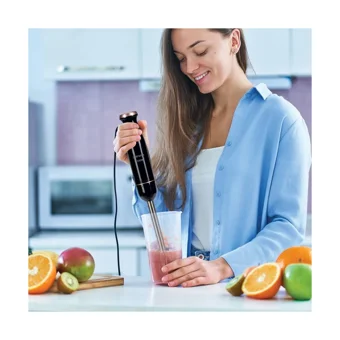 Goldmaster Bestmix 800 ml Plastik Hazneli Turbolu 4 Bıçaklı İkili El Blender Siyah